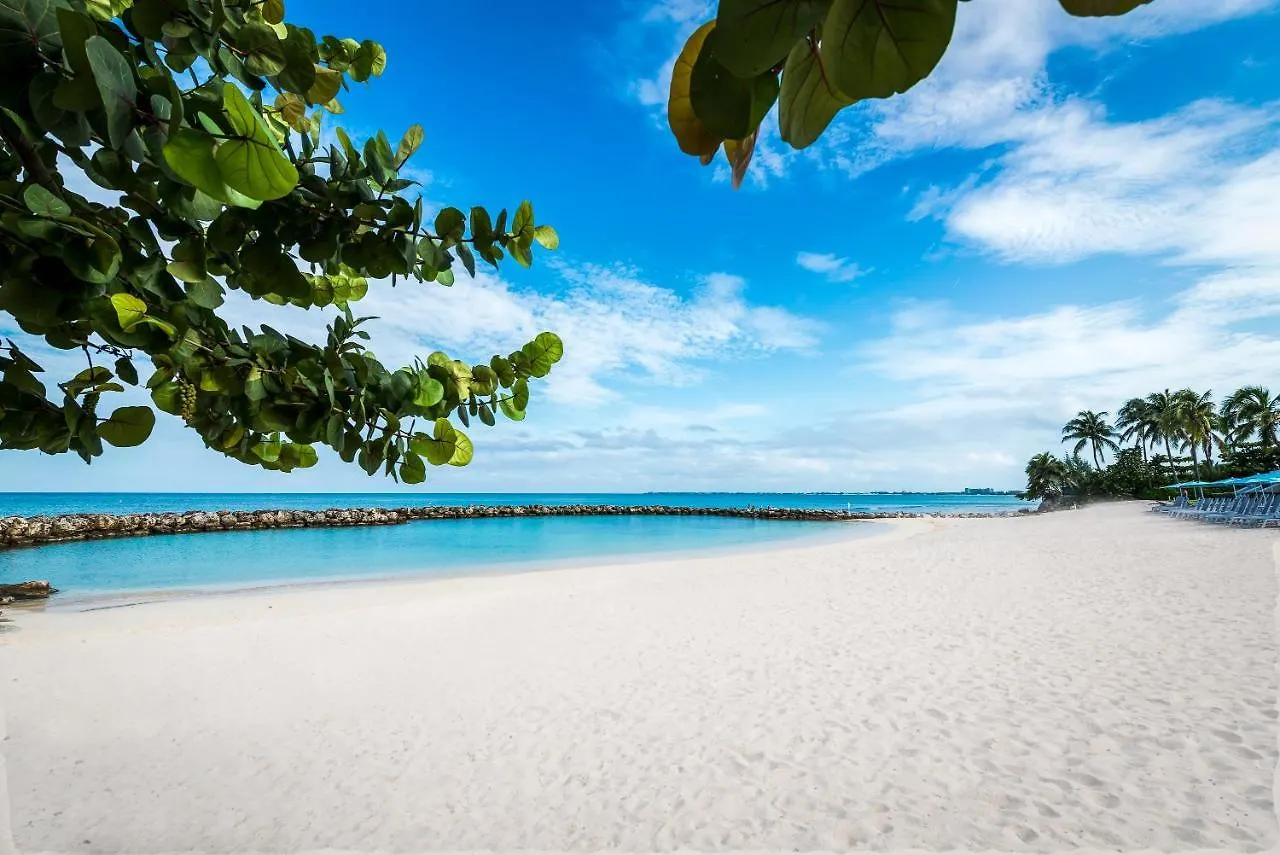 Hotell Margaritaville Beach Resort Grand Cayman George Town